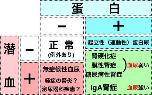 高い 尿素 窒素 尿素窒素が高い！（前編）：lentcardenas.com