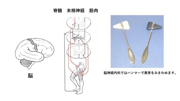 Neurology_01