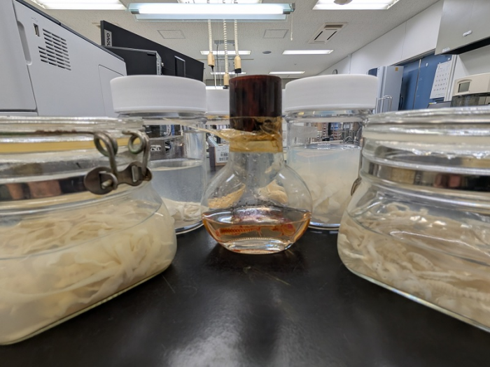 週間スケジュール