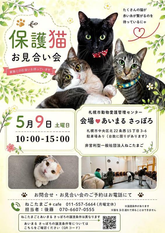 nekotamago20260528