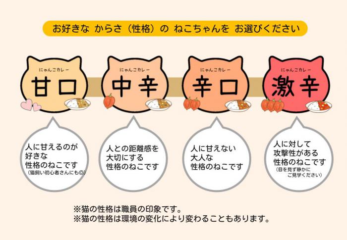 にゃんこカレー