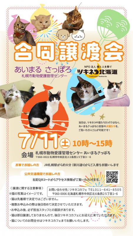 ツキネコ北海道0711譲渡会
