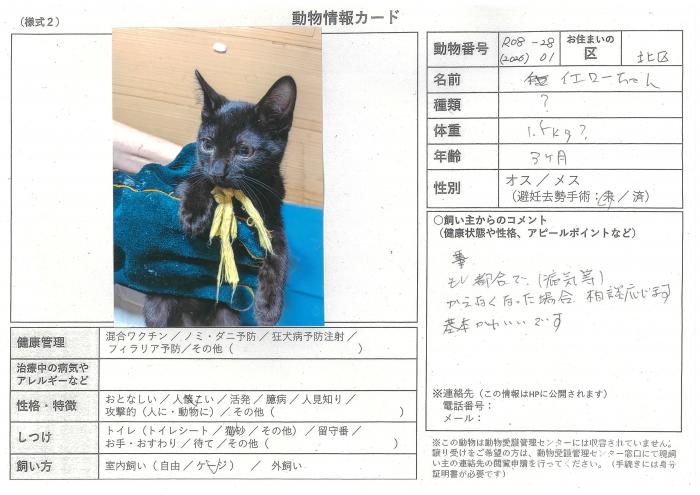note-2026-28-01