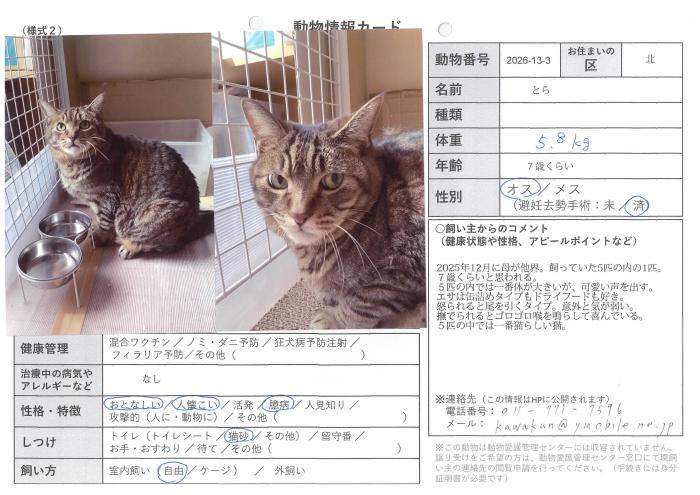 note_2026_013_03_tora