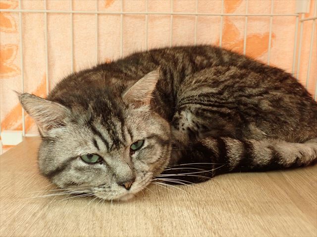 AC070520-01_okati