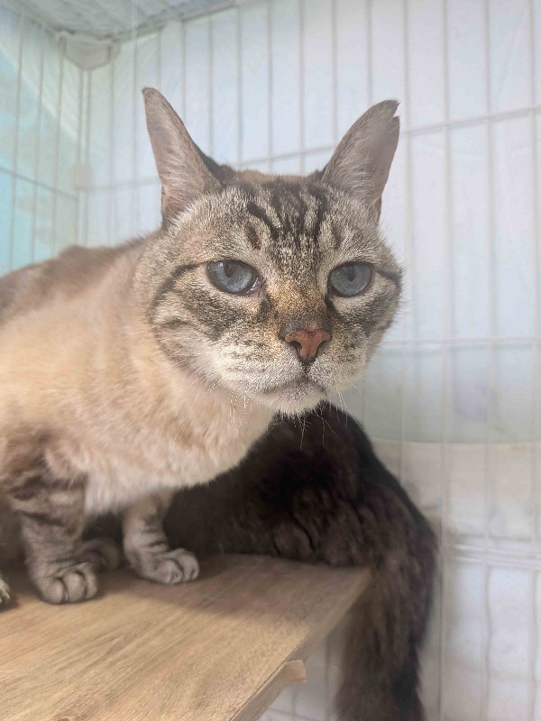 AC080820-01_2