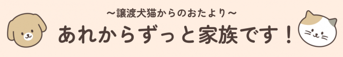arekarazutto_banner