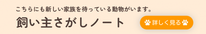 kaiunsisagasino-to_banner