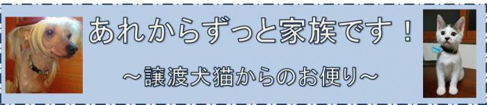 「あれからずっと家族です！」を閲覧したい方は、こちらです。