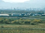写真1発掘調査した場所