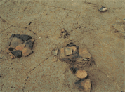 写真6続縄文時代の土器が見つかった様子
