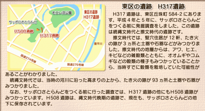 H317遺跡についての説明