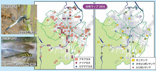 トンボの分布