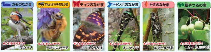 group