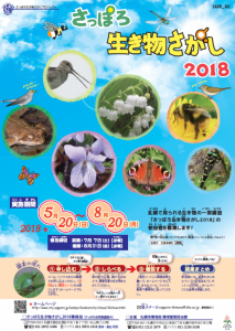 生き物さがし2018ポスター