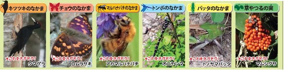 生き物さがし2021対象の生き物