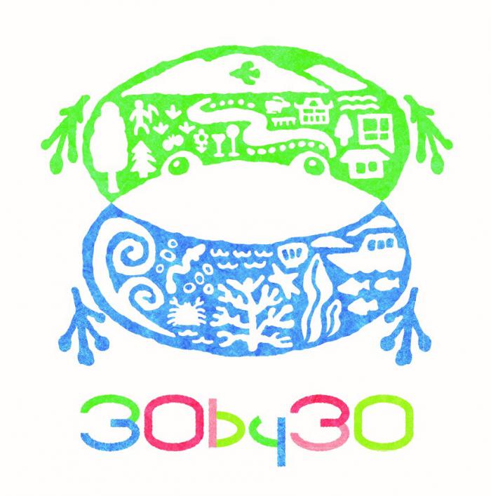 30by30logo