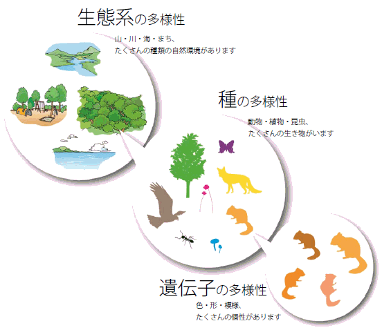 多様 重要 生物 性 性