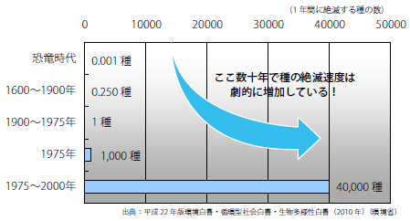 絶滅スピード