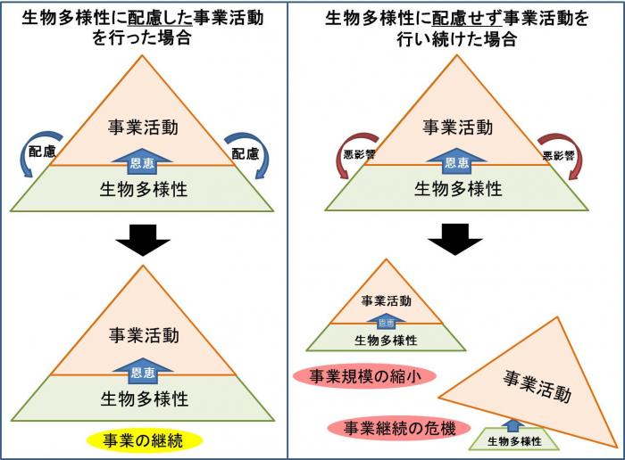 生物多様性と事業活動