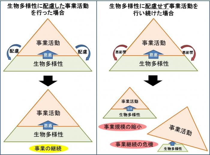 生物多様性と事業活動