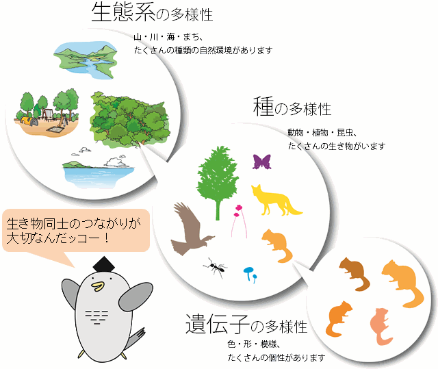 3つの多様性