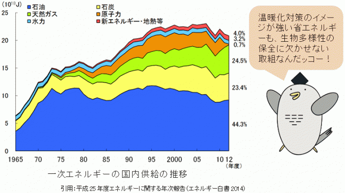 一次エネルギーの国内供給の推移