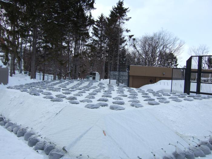 雪堆積場の様子