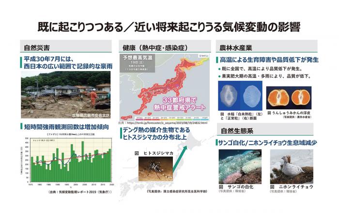 気候変動の影響