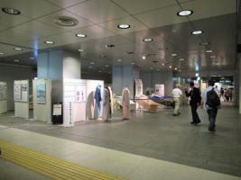写真：パネル展全景2