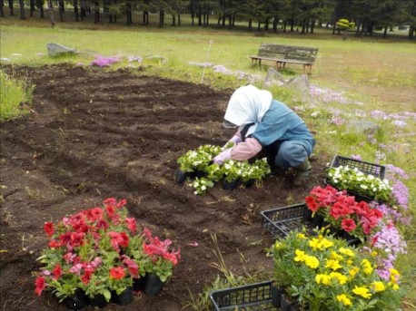 花壇の植え込み