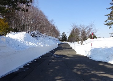 春彼岸前の除雪