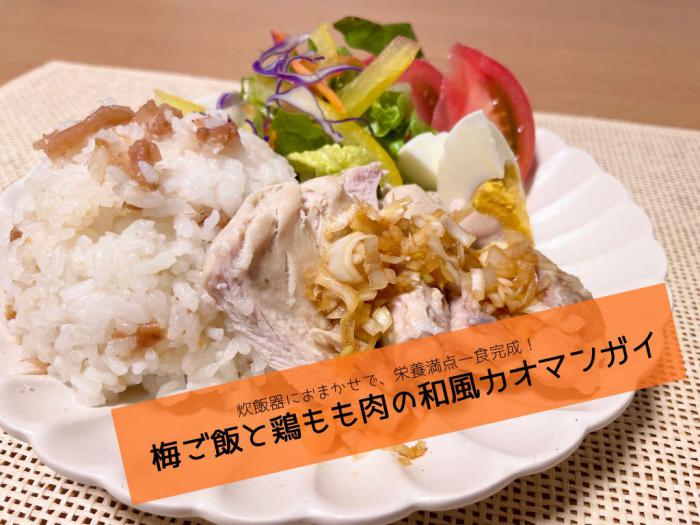 カオマンガイ画像