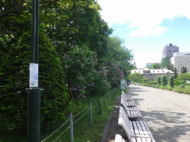 大通公園(2)