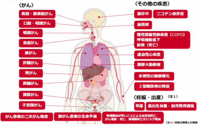 レベル1