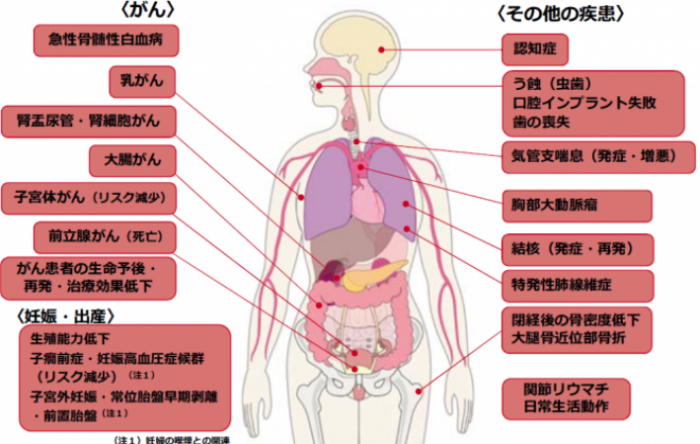 レベル2