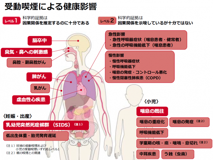 受動喫煙による健康への影響