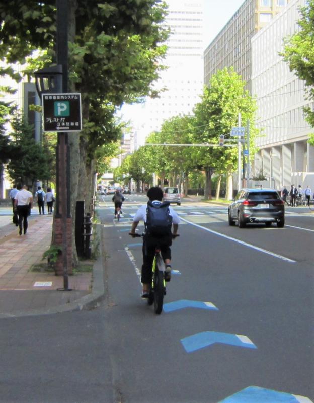 矢羽根型路面表示の写真