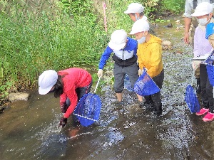 川に入って探検・観察します