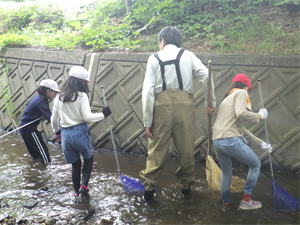 中流での生き物採取