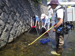 魚類の捕獲　電気ショッカー