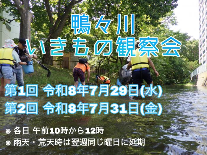 鴨々川いきもの観察会の写真