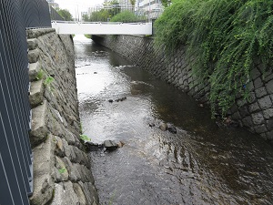 石置き後の創成川