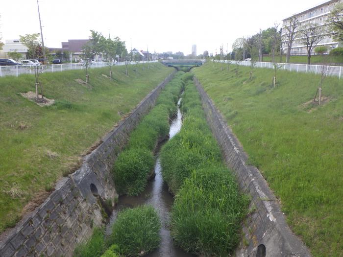 熊の沢川整備後