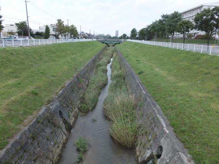 熊の沢川整備前