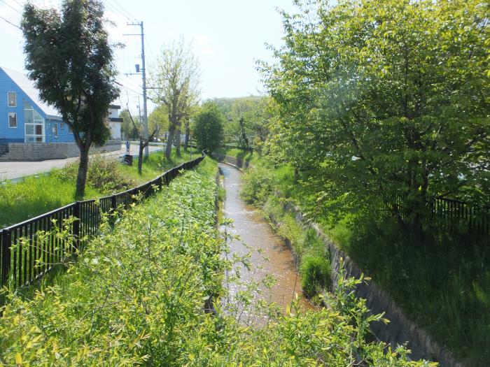 トンネ・ポントンネ川整備前