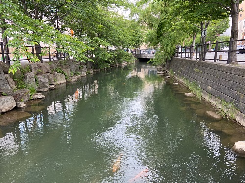 鴨々川の写真(創成川の上流を鴨々川と呼びます)