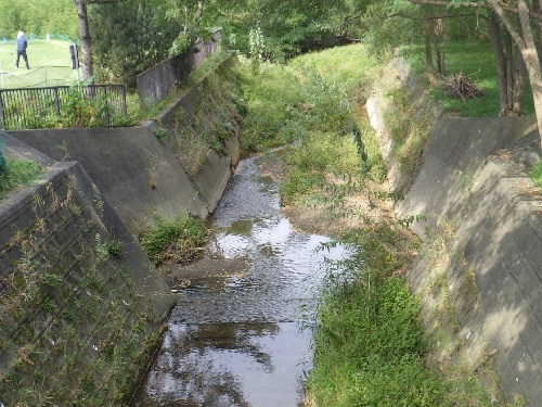 熊の沢川の写真