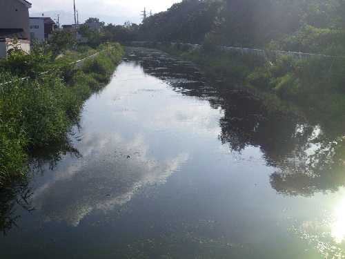 茨戸耕北川の写真