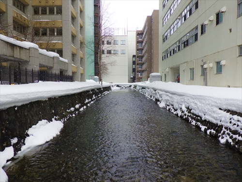 鴨々川(創成川)の写真